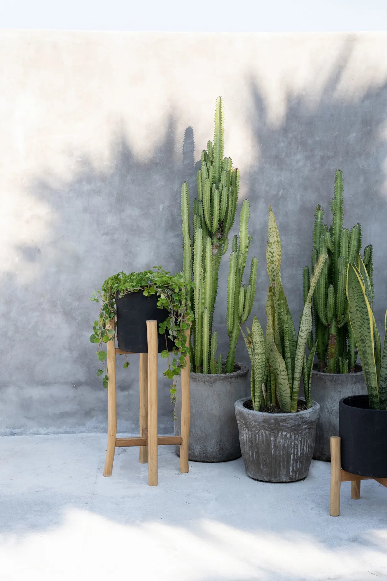 The Charcoal High - Schwarz Natur - L