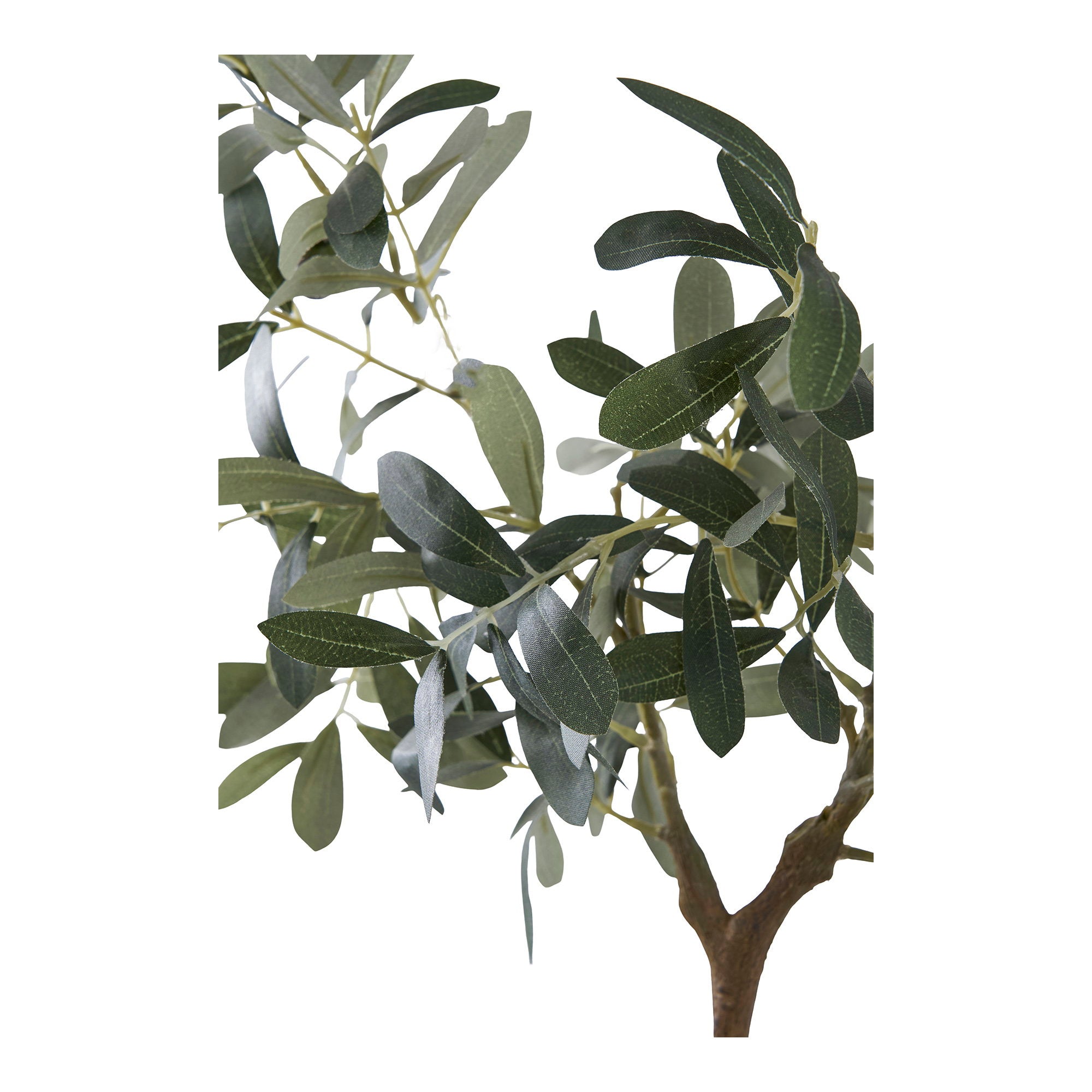 Olivenbaum – Kunstpflanze, grün H:61 cm – Living and Goods