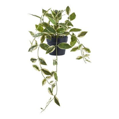 Hoya Carnosa - Artificial plant, green H:33 cm