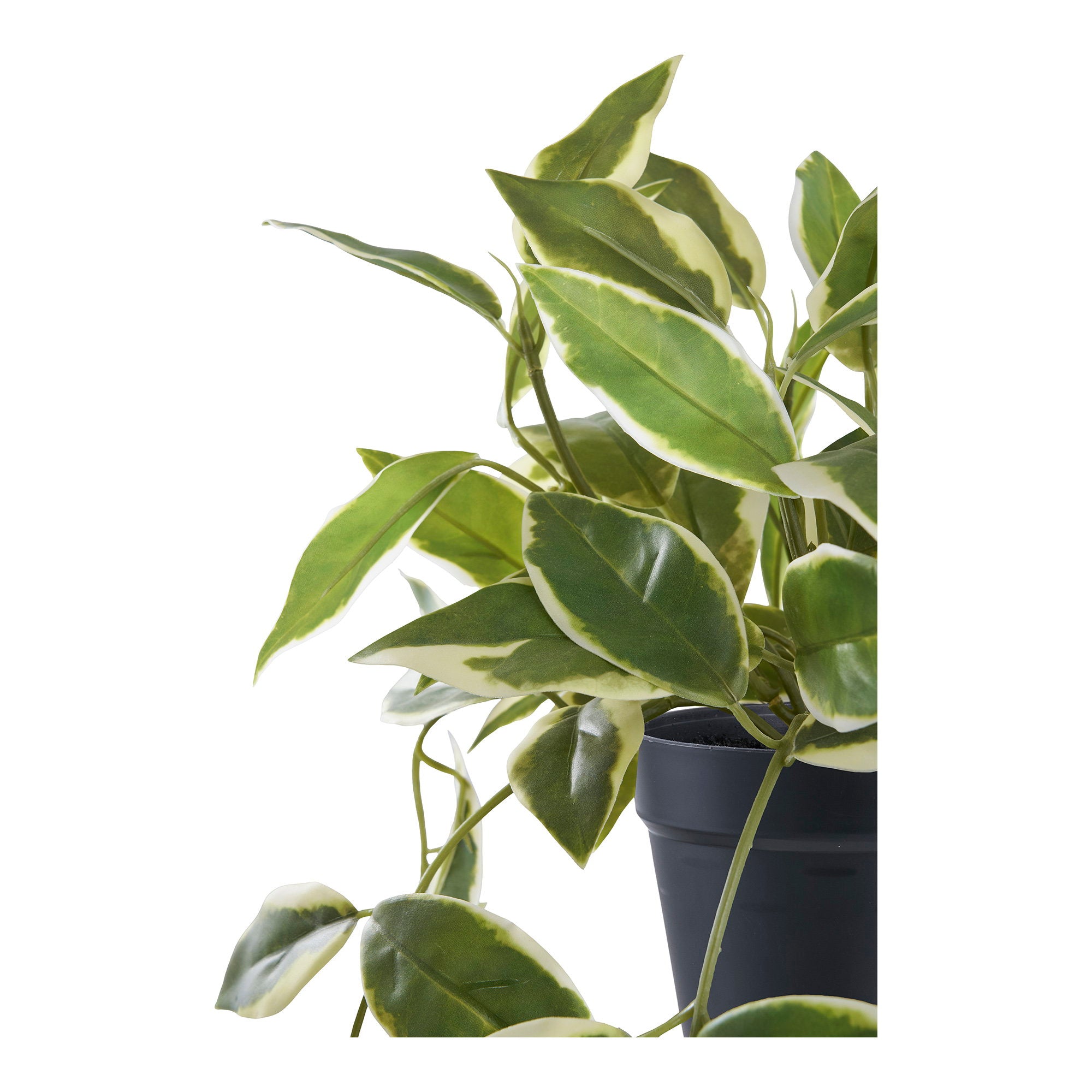 Hoya Carnosa - Artificial plant, green H:33 cm