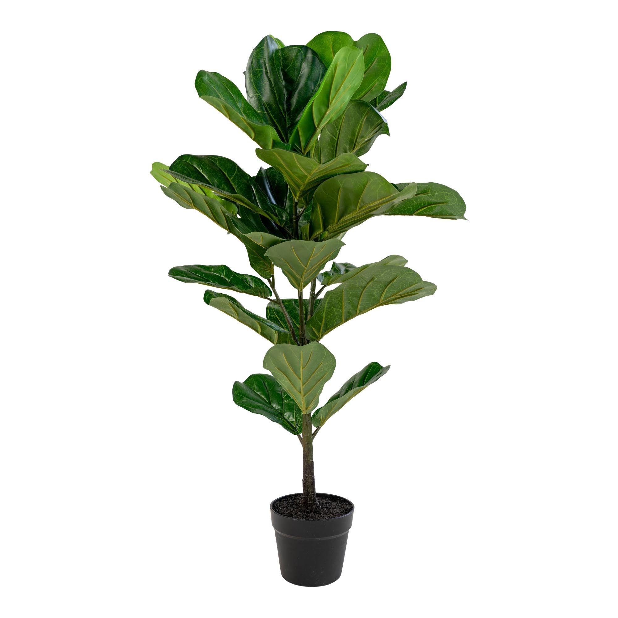 Geigenfeige – Künstliche Pflanze, grün H:100 cm