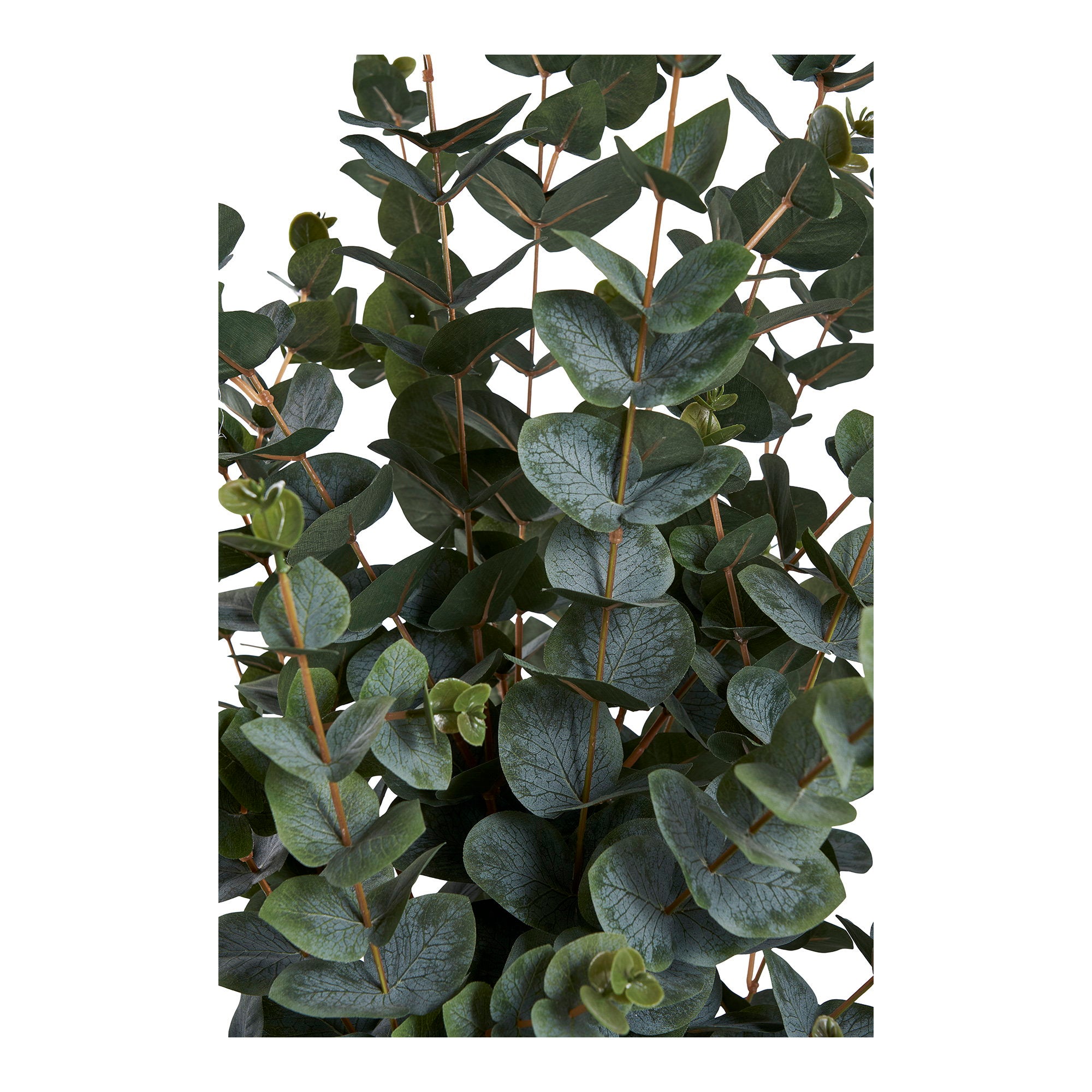 Eukalyptusbaum – Künstliche Pflanze, grün H:120 cm