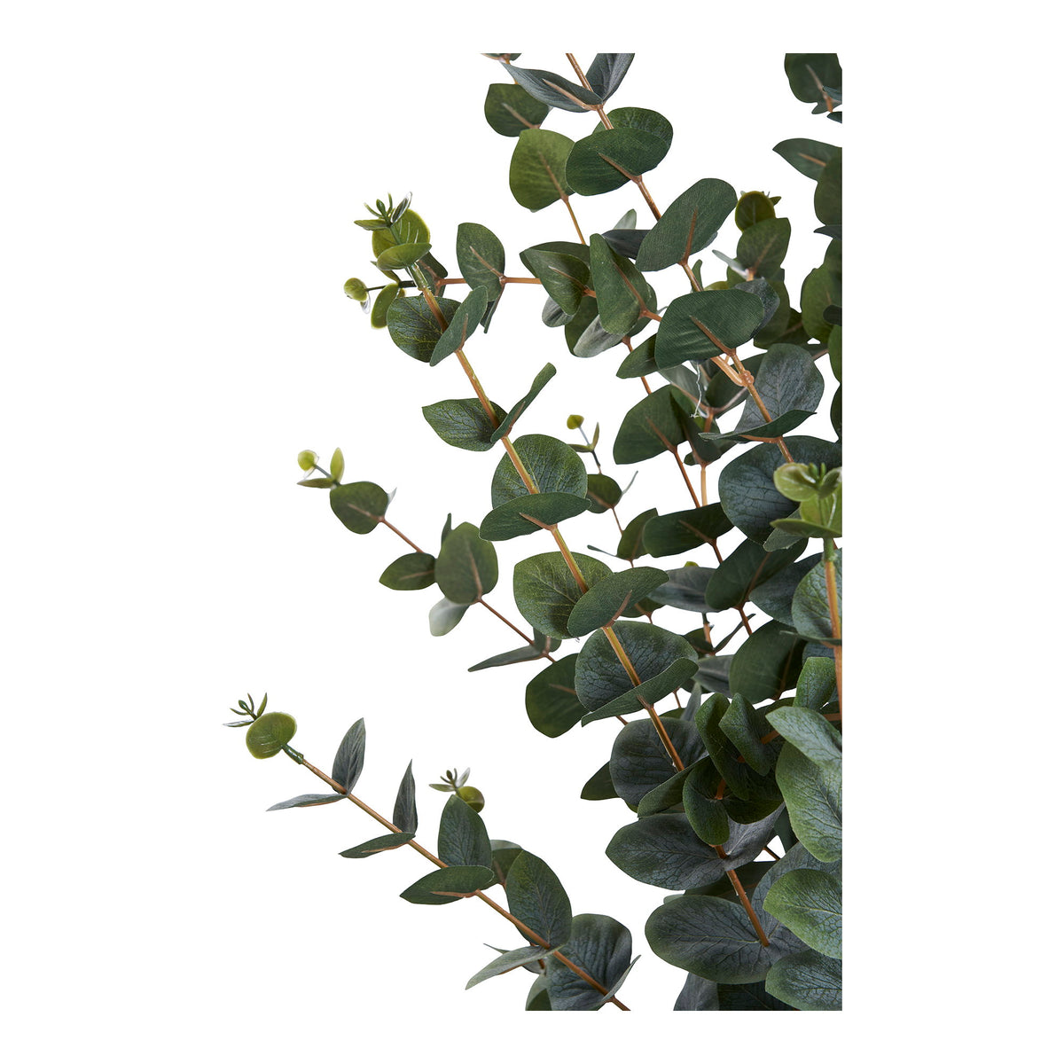 Eukalyptusbaum – Künstliche Pflanze, grün H:120 cm