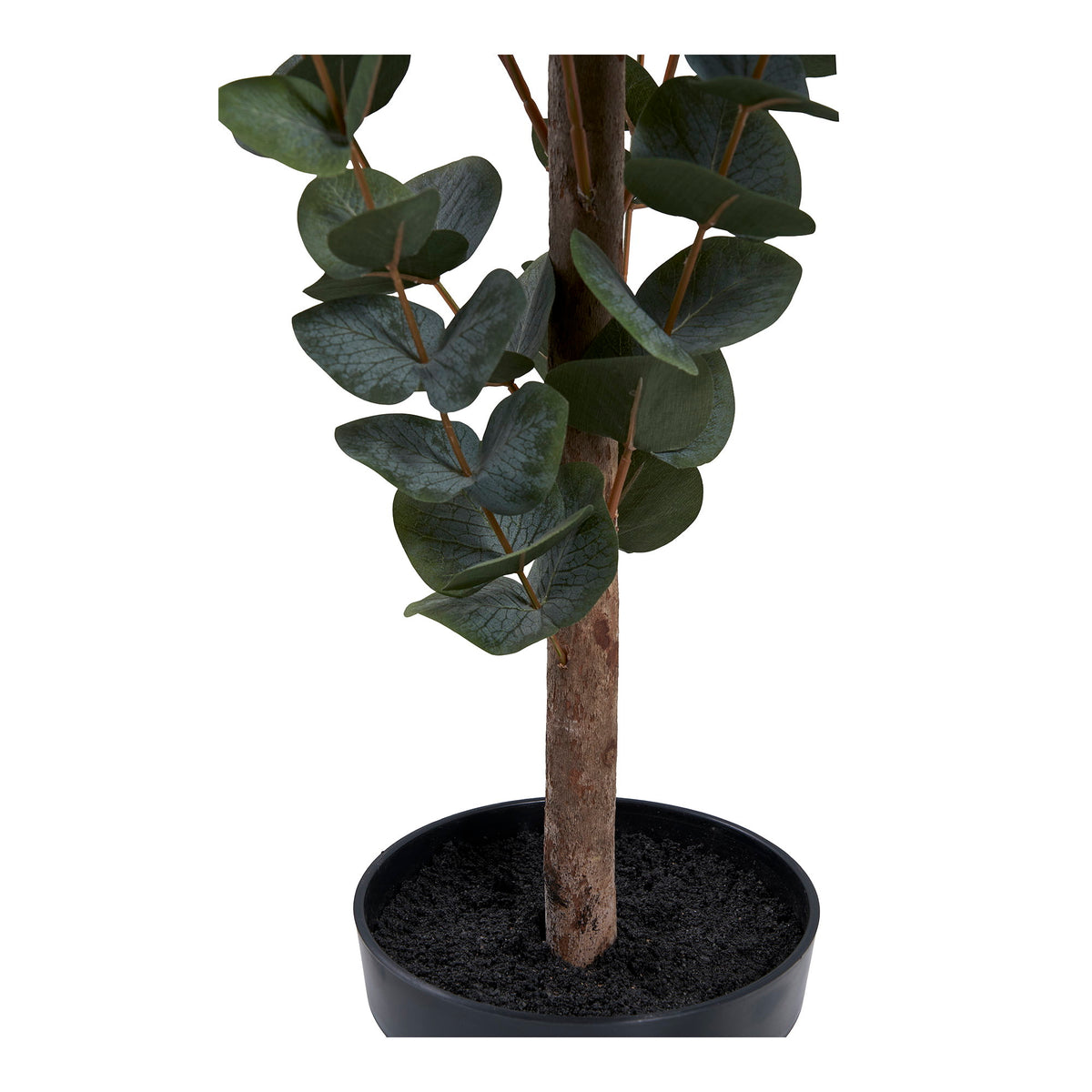 Eukalyptusbaum – Künstliche Pflanze, grün H:120 cm