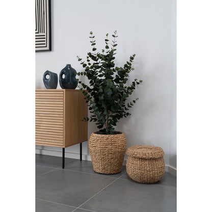 Kunstplant Eucalyptus – groen, 120 cm