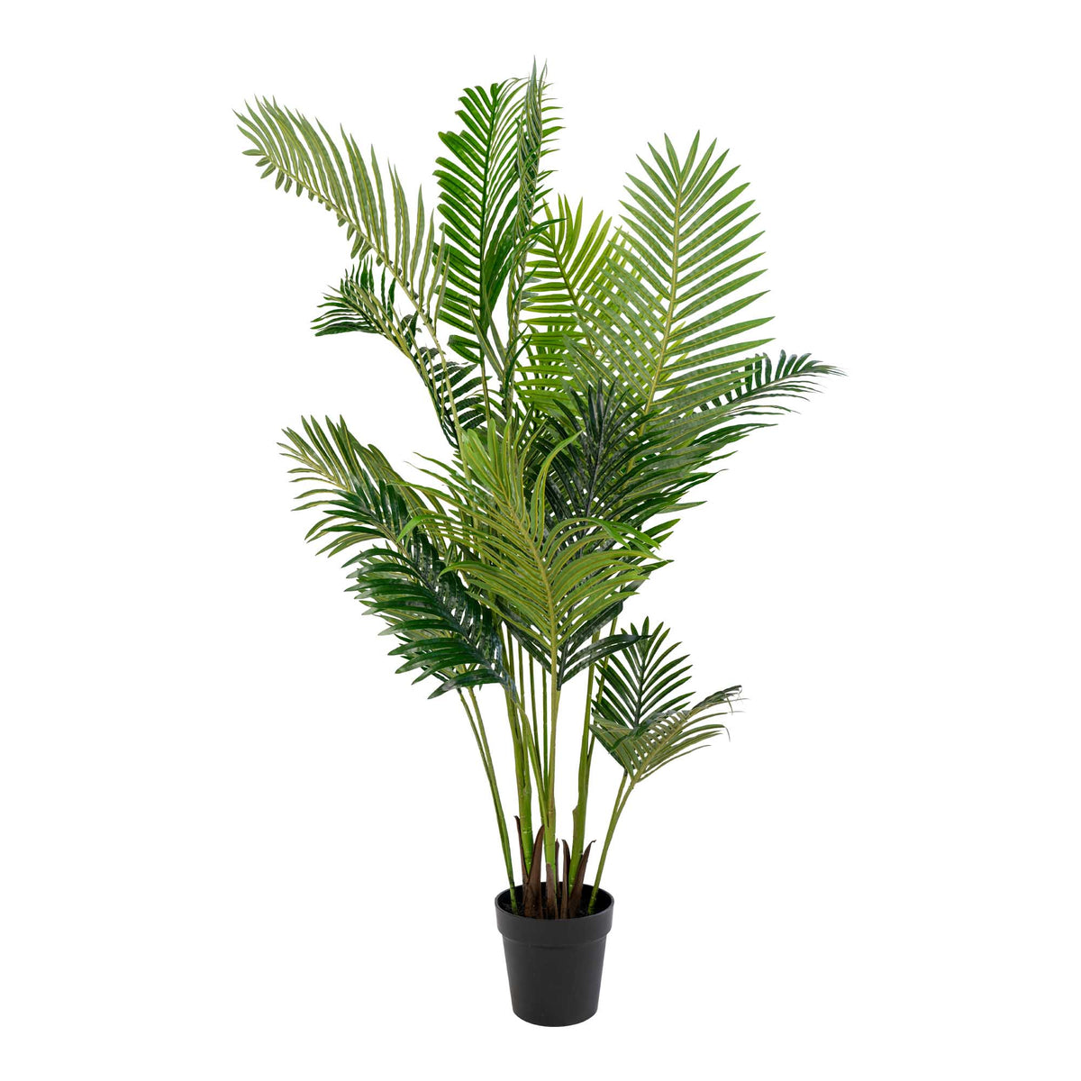 Arekapalme - Künstliche Palme, grün H:175 cm