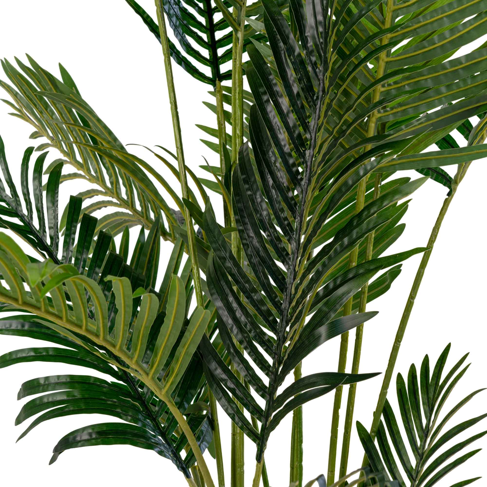 Arekapalme - Künstliche Palme, grün H:175 cm