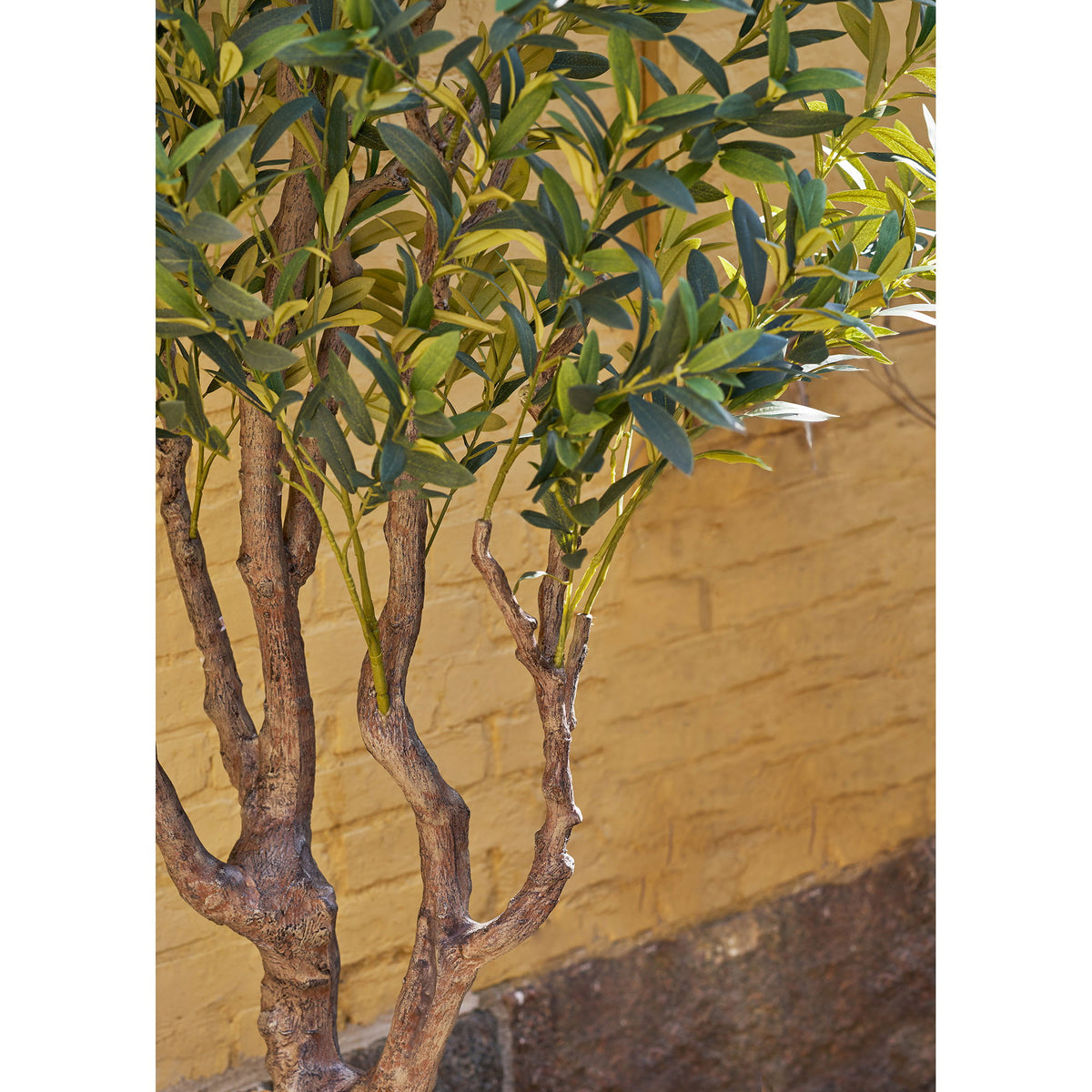 Olivenbaum - Künstlicher Baum, grün H:220 cm