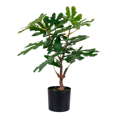 Feigenbaum – Kunstpflanze, grün H:60 cm