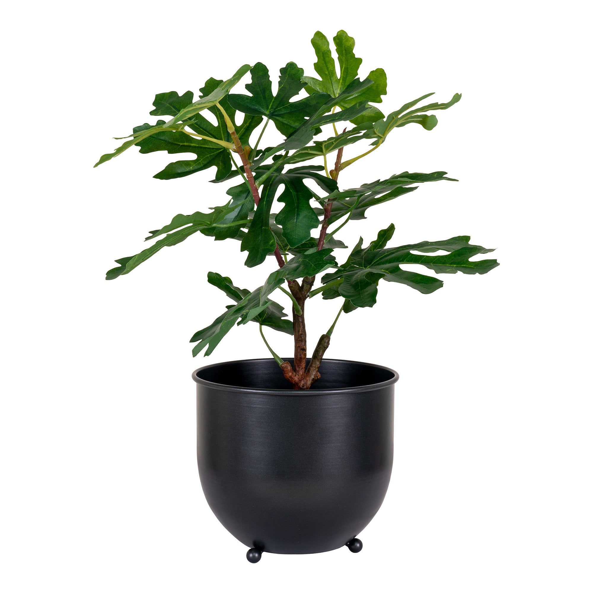 Feigenbaum – Kunstpflanze, grün H:60 cm