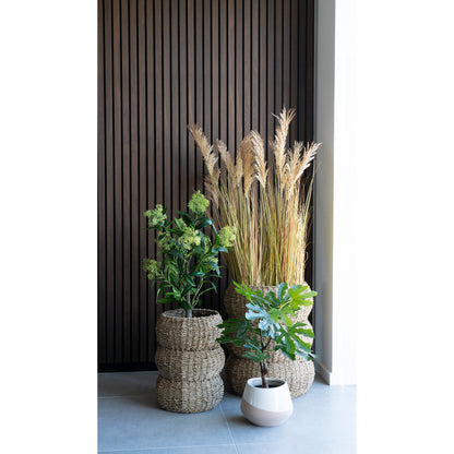 Feigenbaum – Kunstpflanze, grün H:60 cm