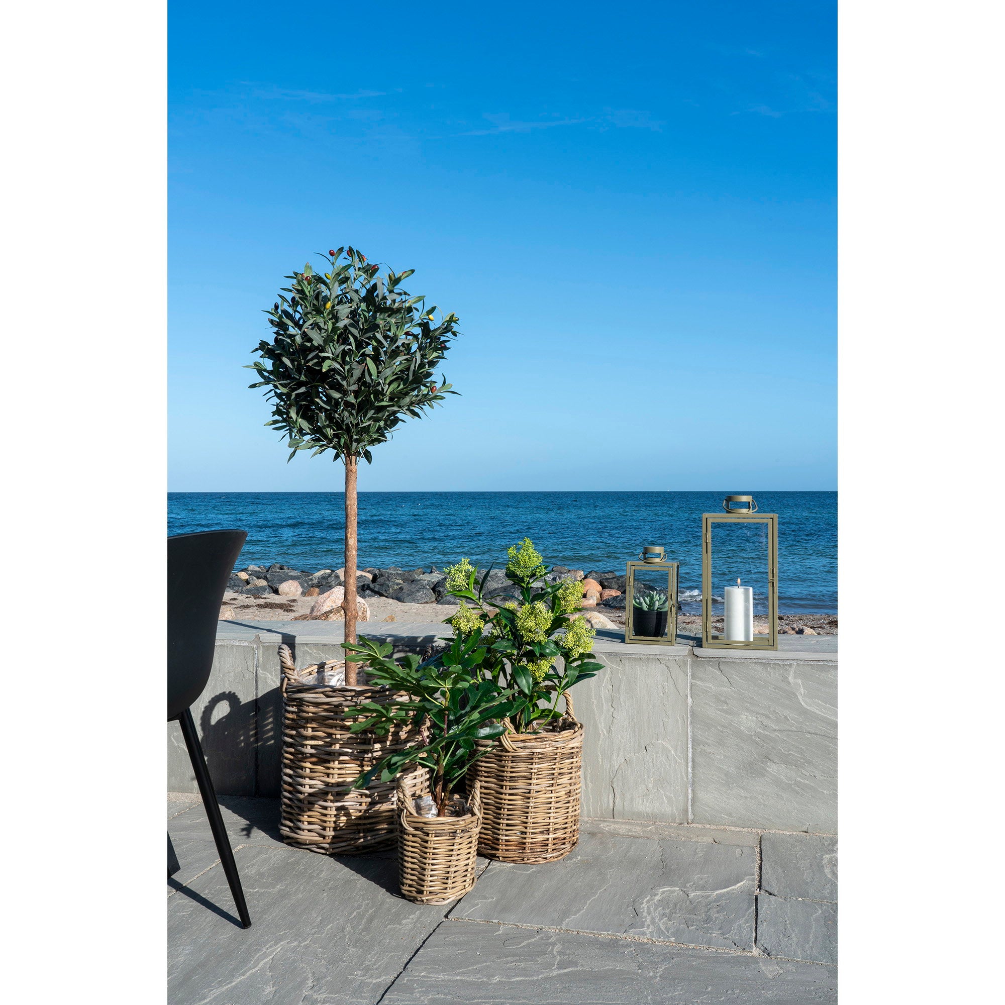 Skimmia Tree - Artificial plant, green H:75 cm