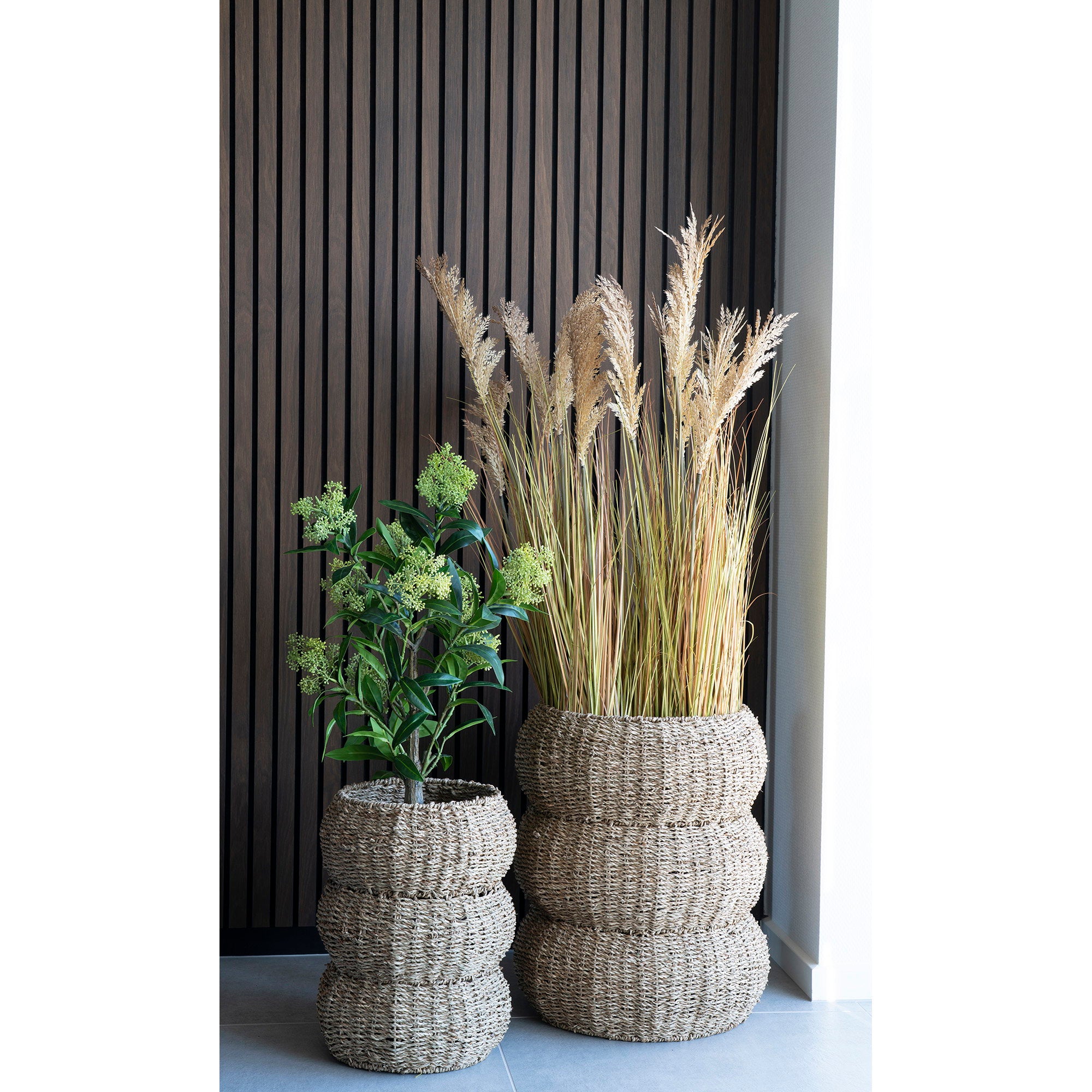Skimmia Tree - Artificial plant, green H:75 cm