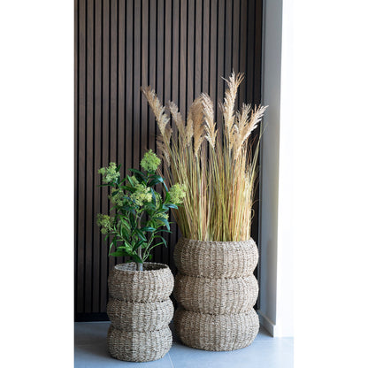 Skimmia Tree - Artificial plant, green H:75 cm