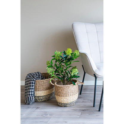 Skimmia Tree - Artificial plant, green H:75 cm