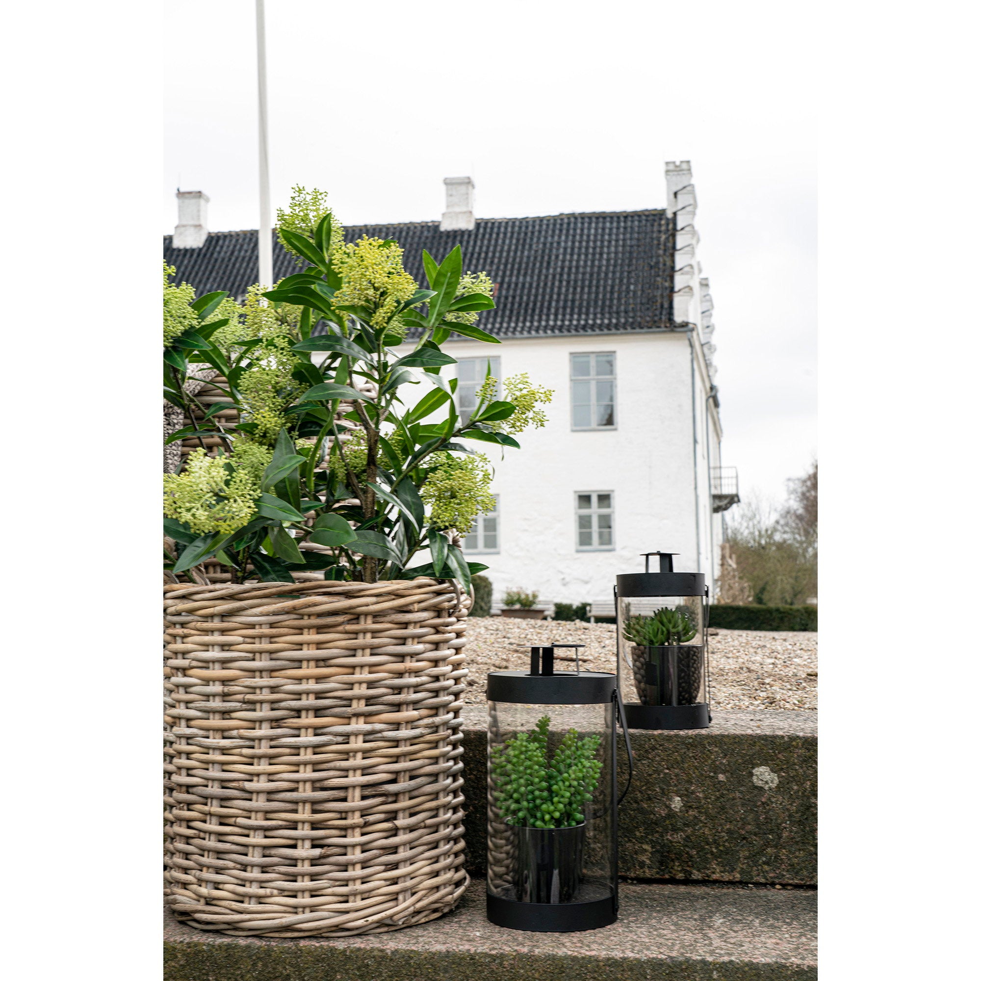 Skimmia Tree - Artificial plant, green H:75 cm