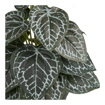 Artificial Plant - Plant, green H: 33 cm