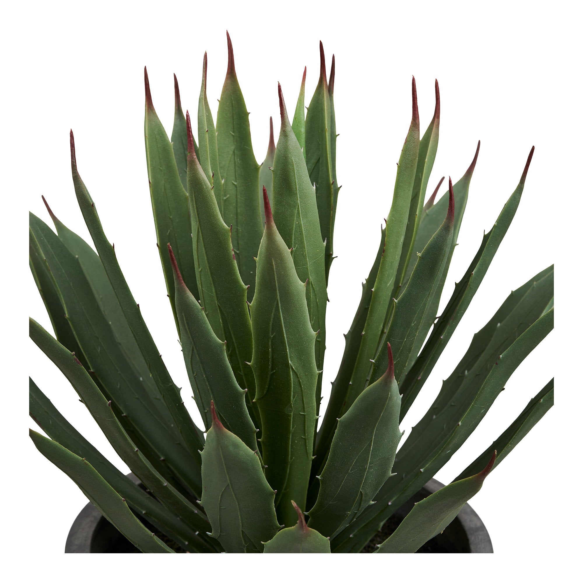 Agavenpflanze – Mit Topf, künstlich, grün/grau, H:41 cm