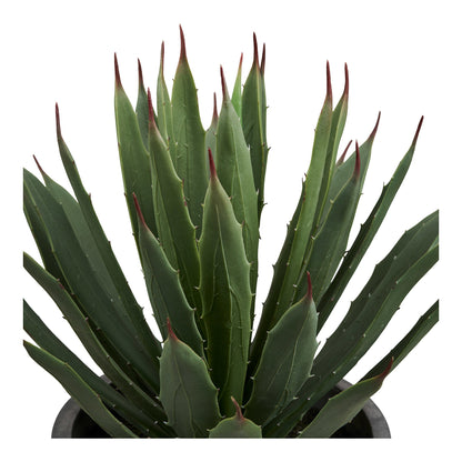 Agavenpflanze – Mit Topf, künstlich, grün/grau, H:41 cm