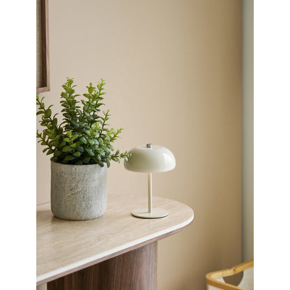 Sukkulente - Kunstpflanze mit Zementtopf, grün/grau H:33
