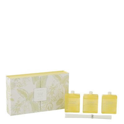 BOX 3 SCENTED OIL CITRUS SENSE YELLOW