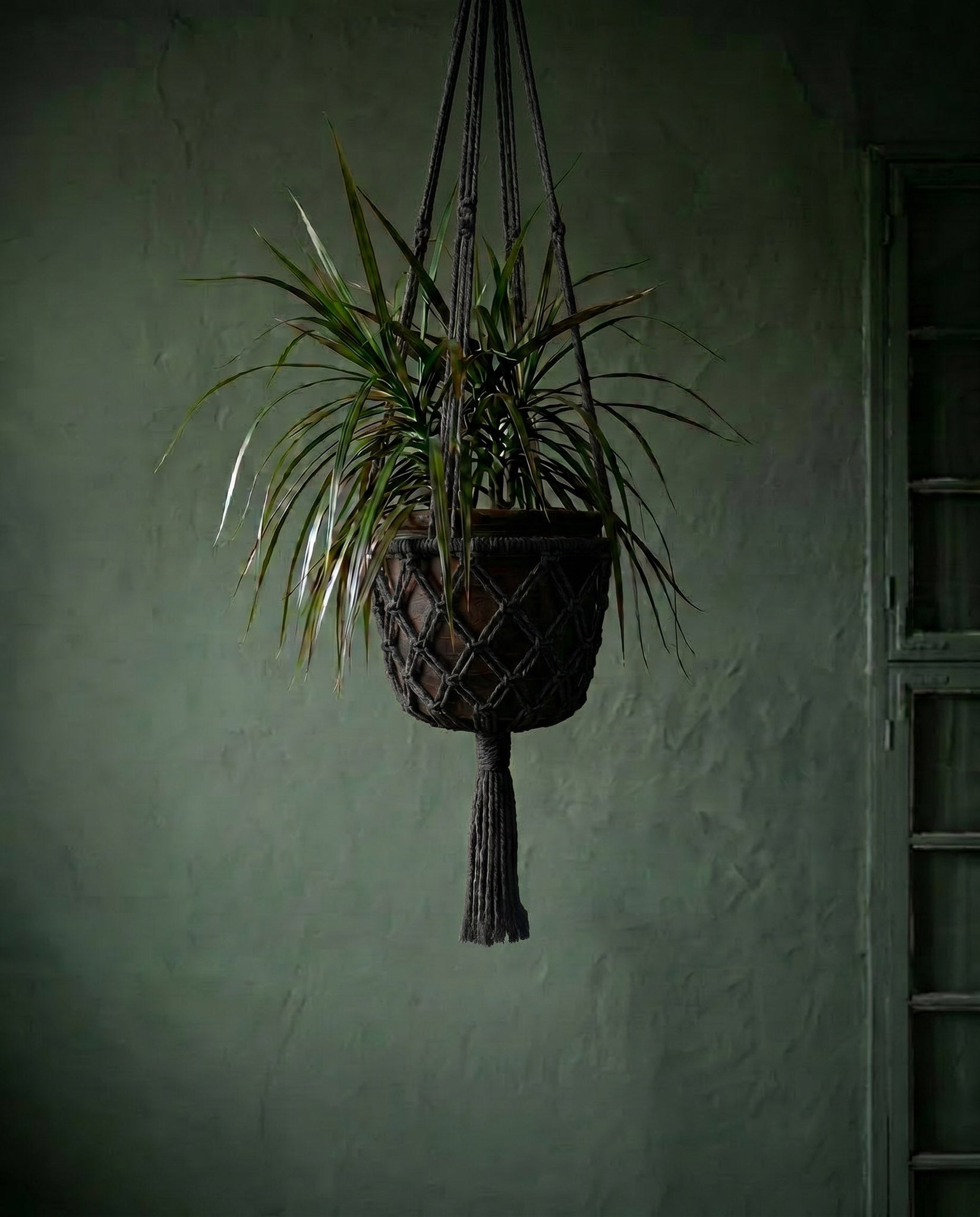 The Macrame Plant Holder - Black - L_40