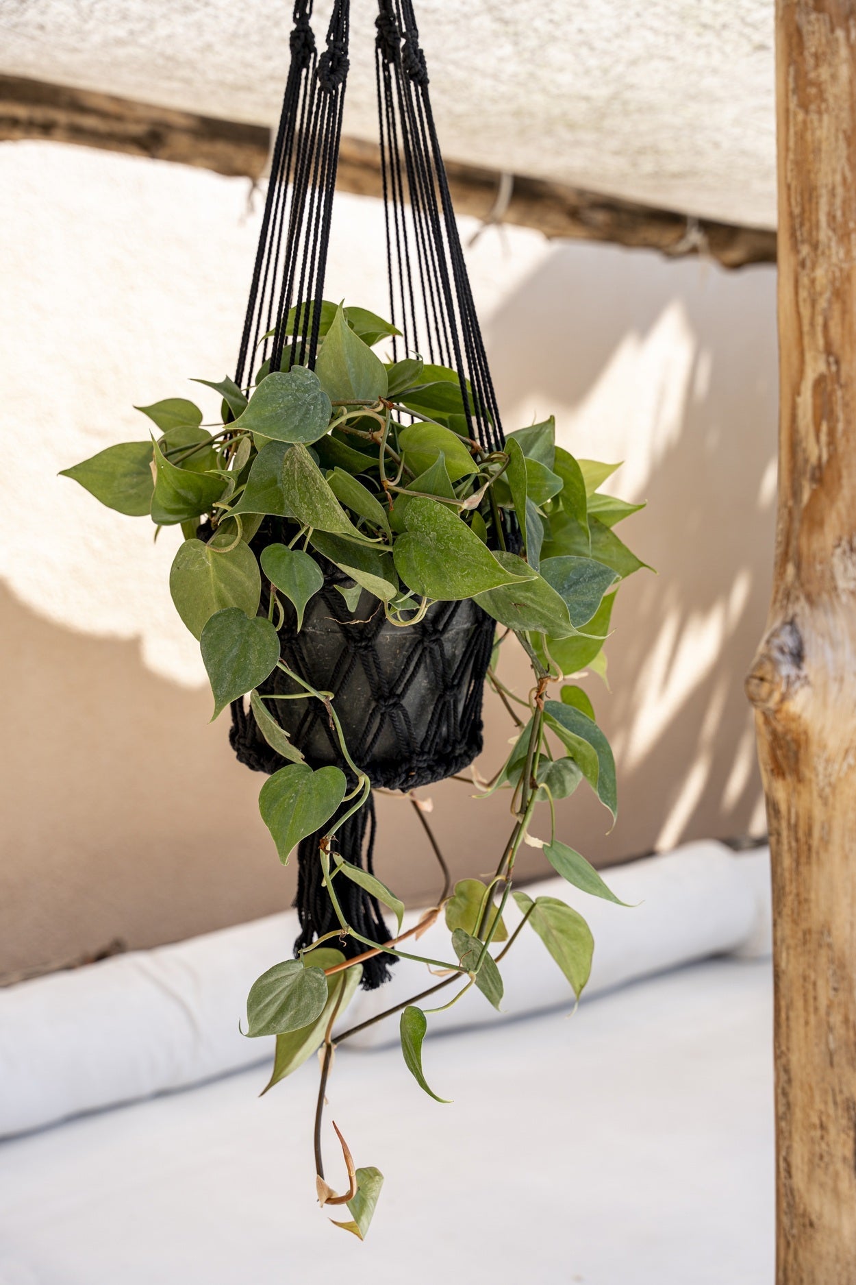 Plantenhanger Macramé — zwart, L 40 cm