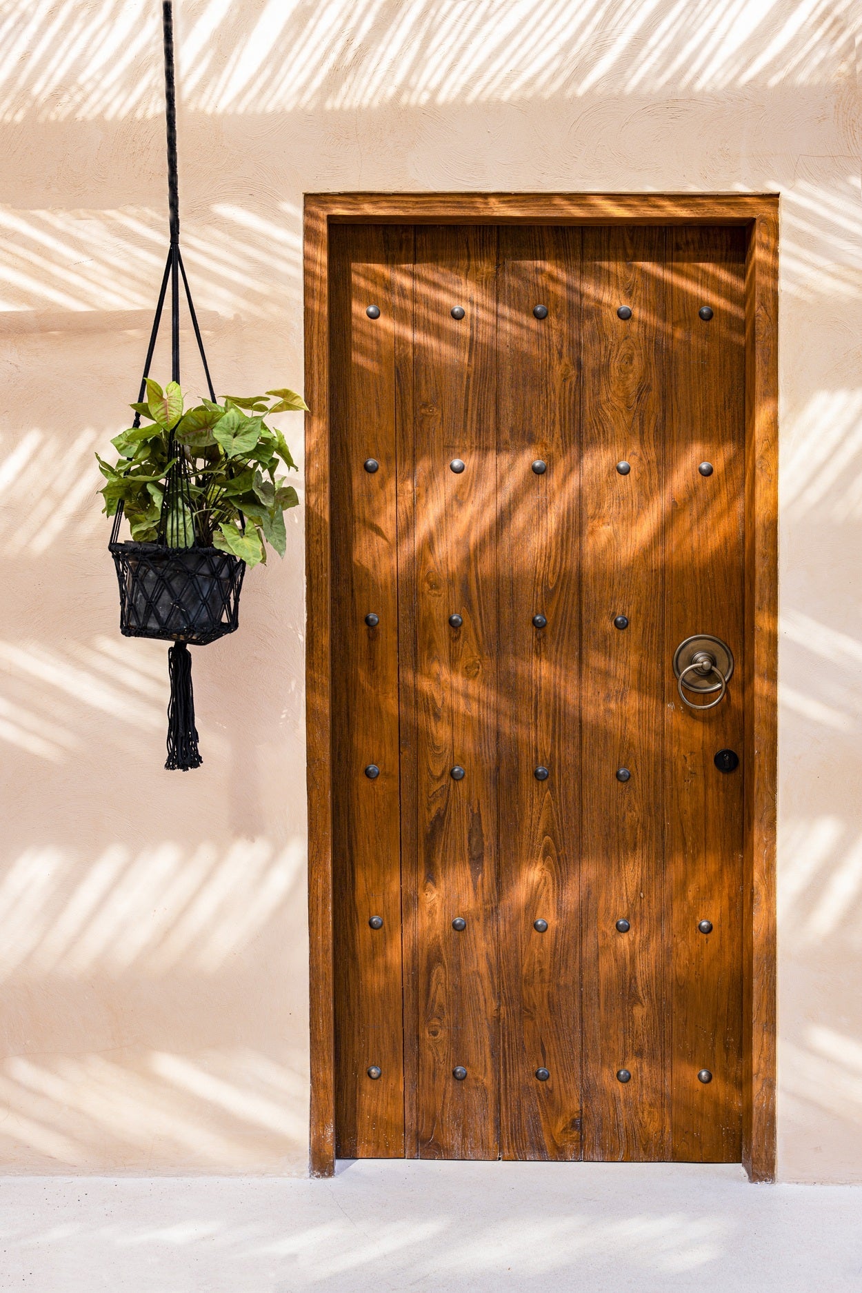 The Macrame Plant Holder - Black - M_40