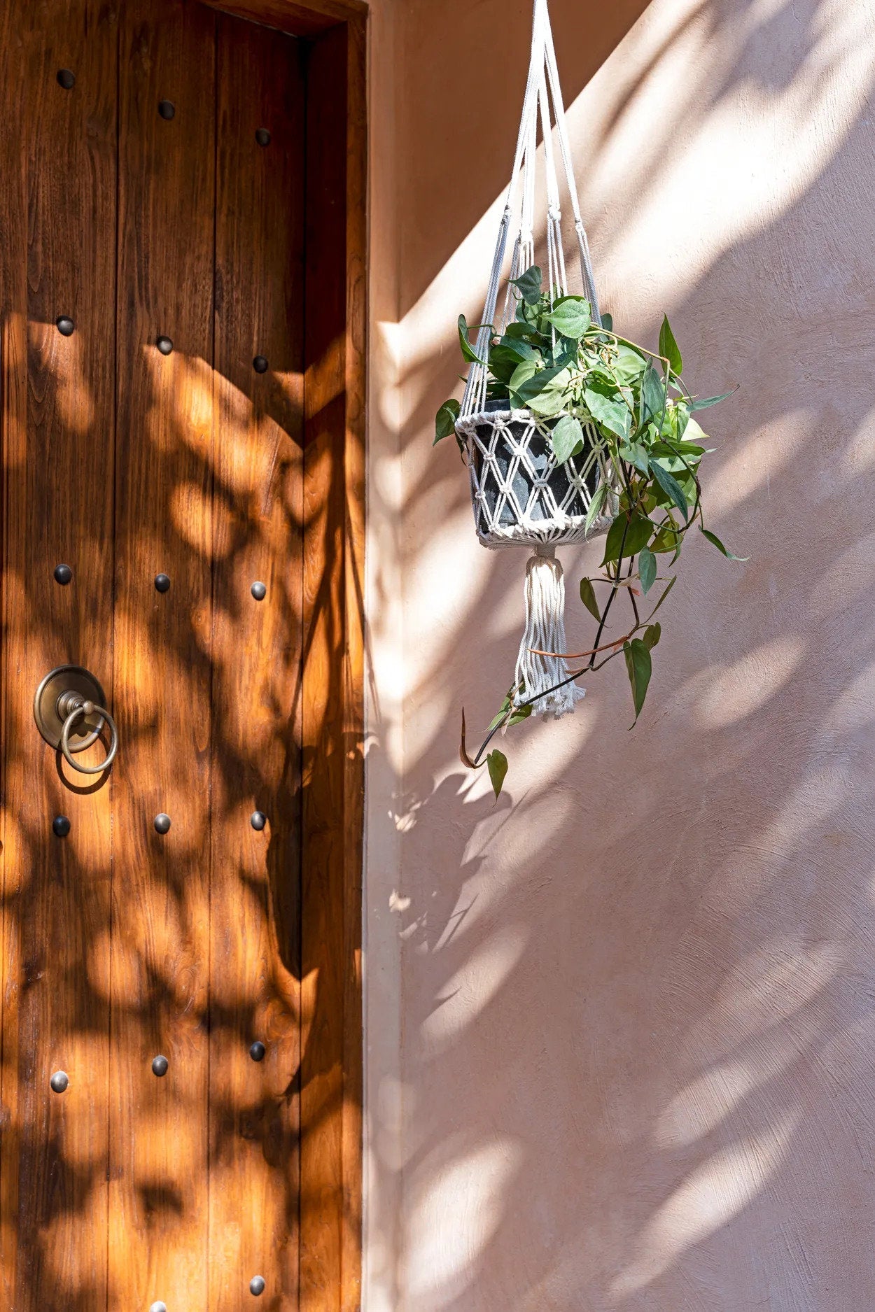 The Macrame Plant Holder - White - M_40