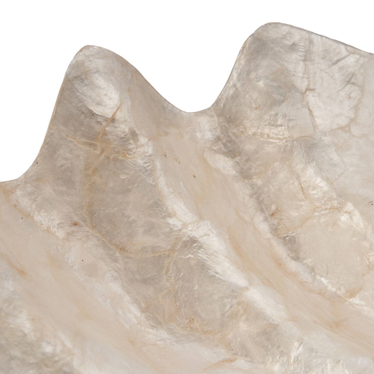 Seifenschale aus Perlmutt – Weiß – M