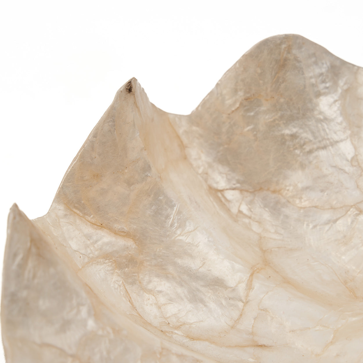 Seifenschale aus Perlmutt – Weiß – S