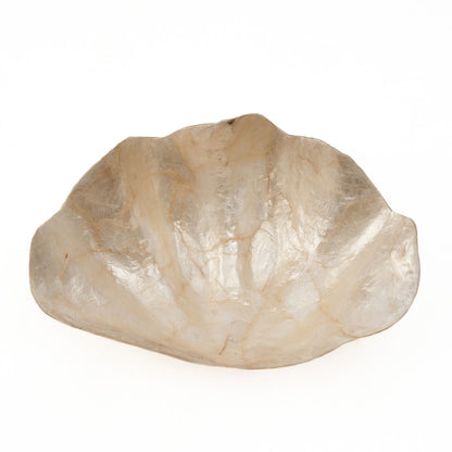 The Mother of Pearl Soap Dish - White - S