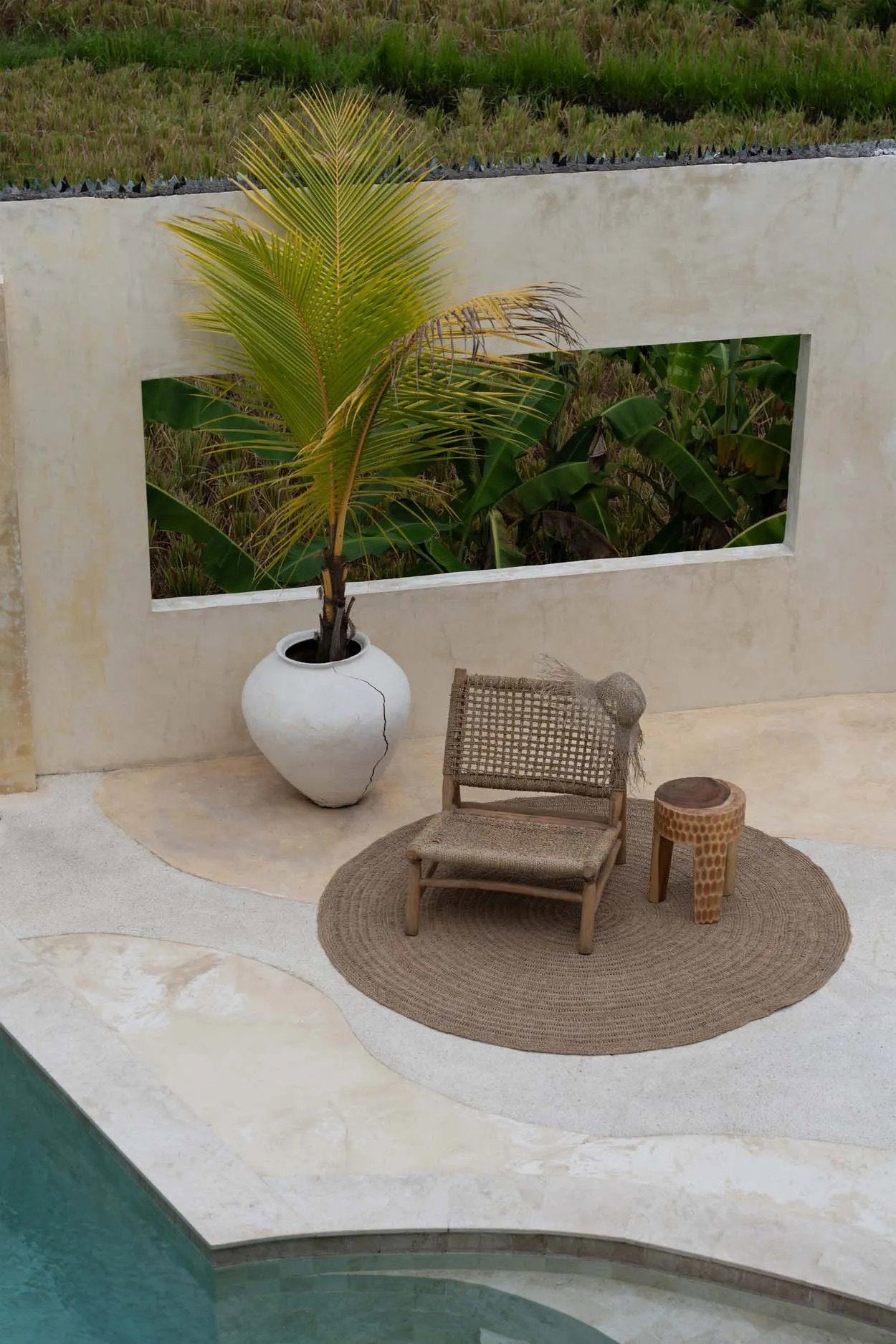 The Seagrass Carpet - Natural - 200