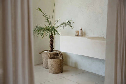 The Sensity Baskets - Natural - L