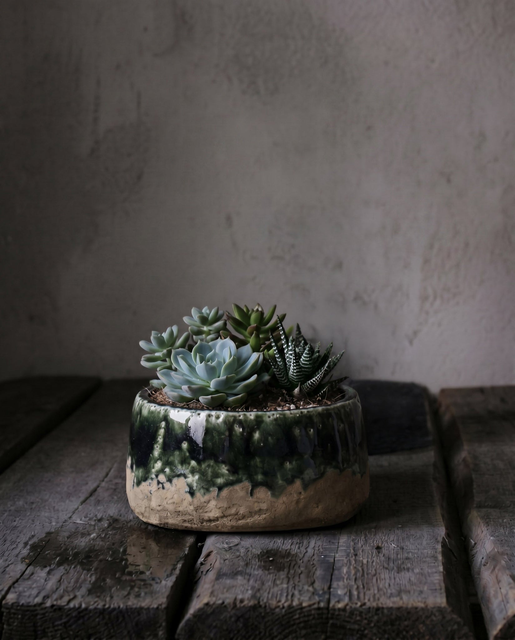 Plantenschaal Moss – steengoed, betongroen, ø16×8 cm