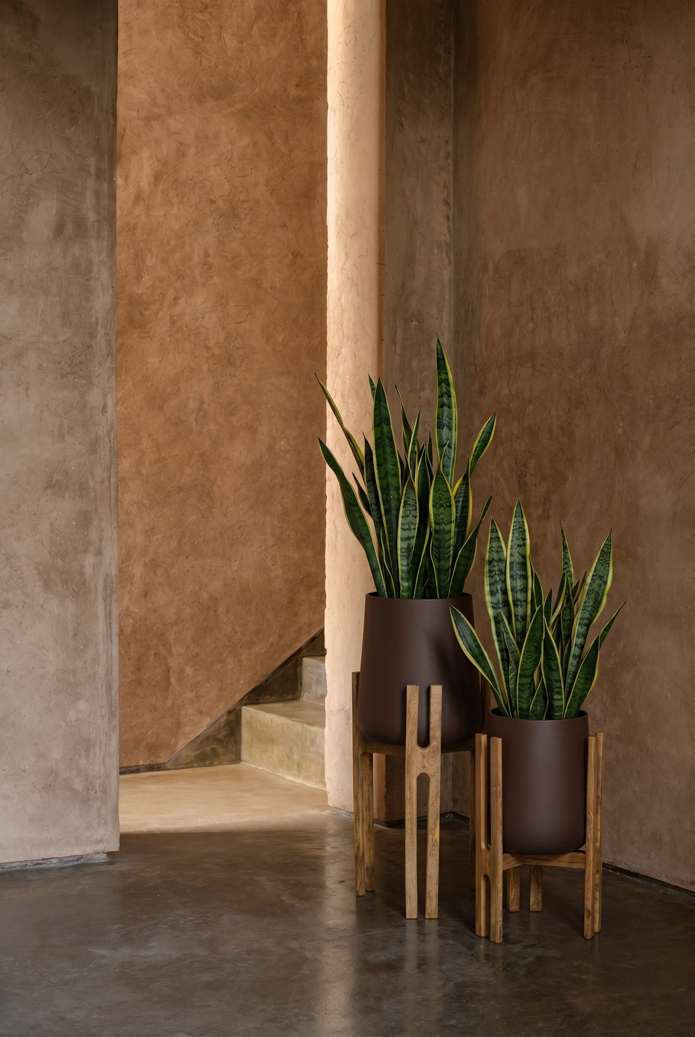 Plantenpot Forked Root – beton en hout, naturelbruin, 26x25x55 cm
