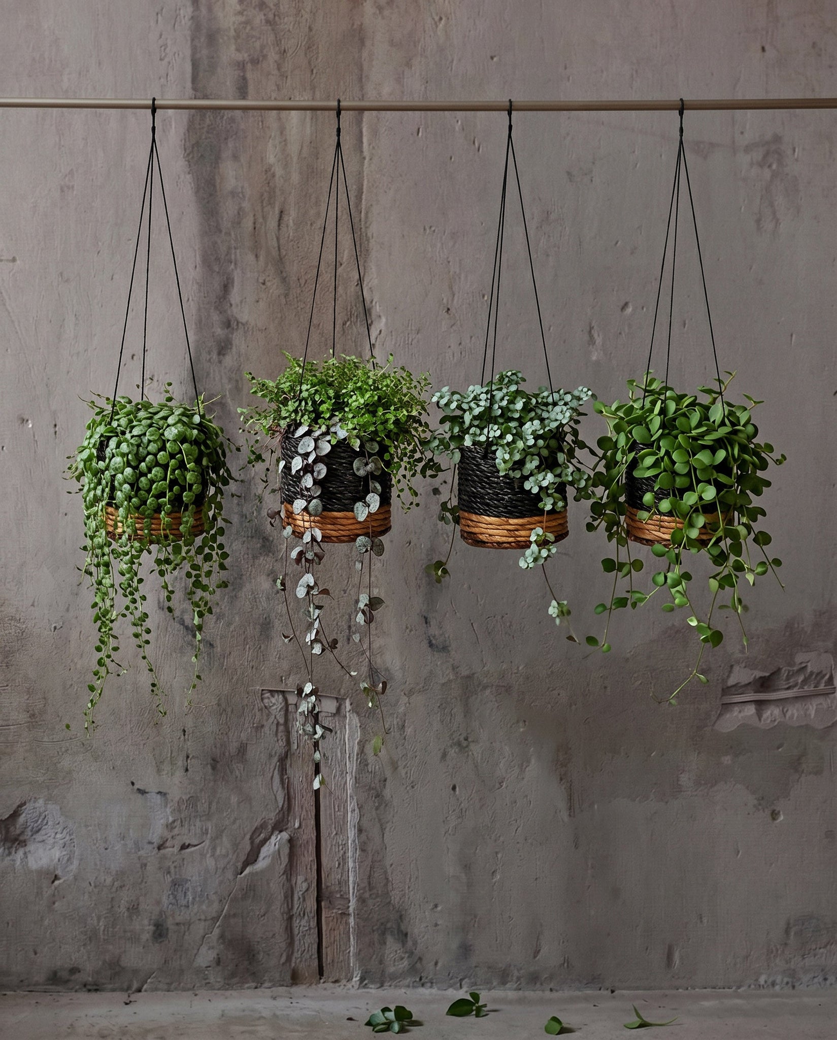 The Banana Plant Hanger - Natural Black - S