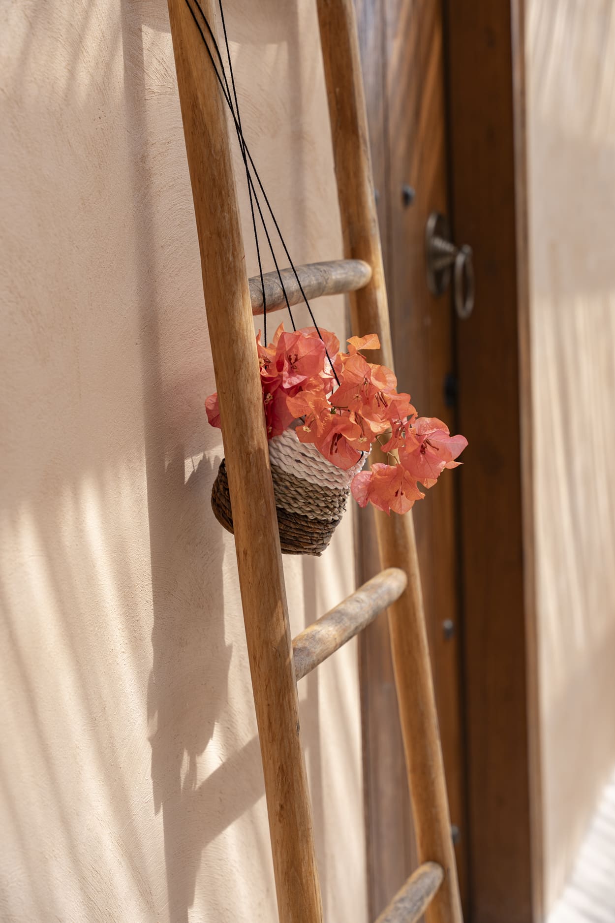 The Banana Plant Hanger - Natural White - S