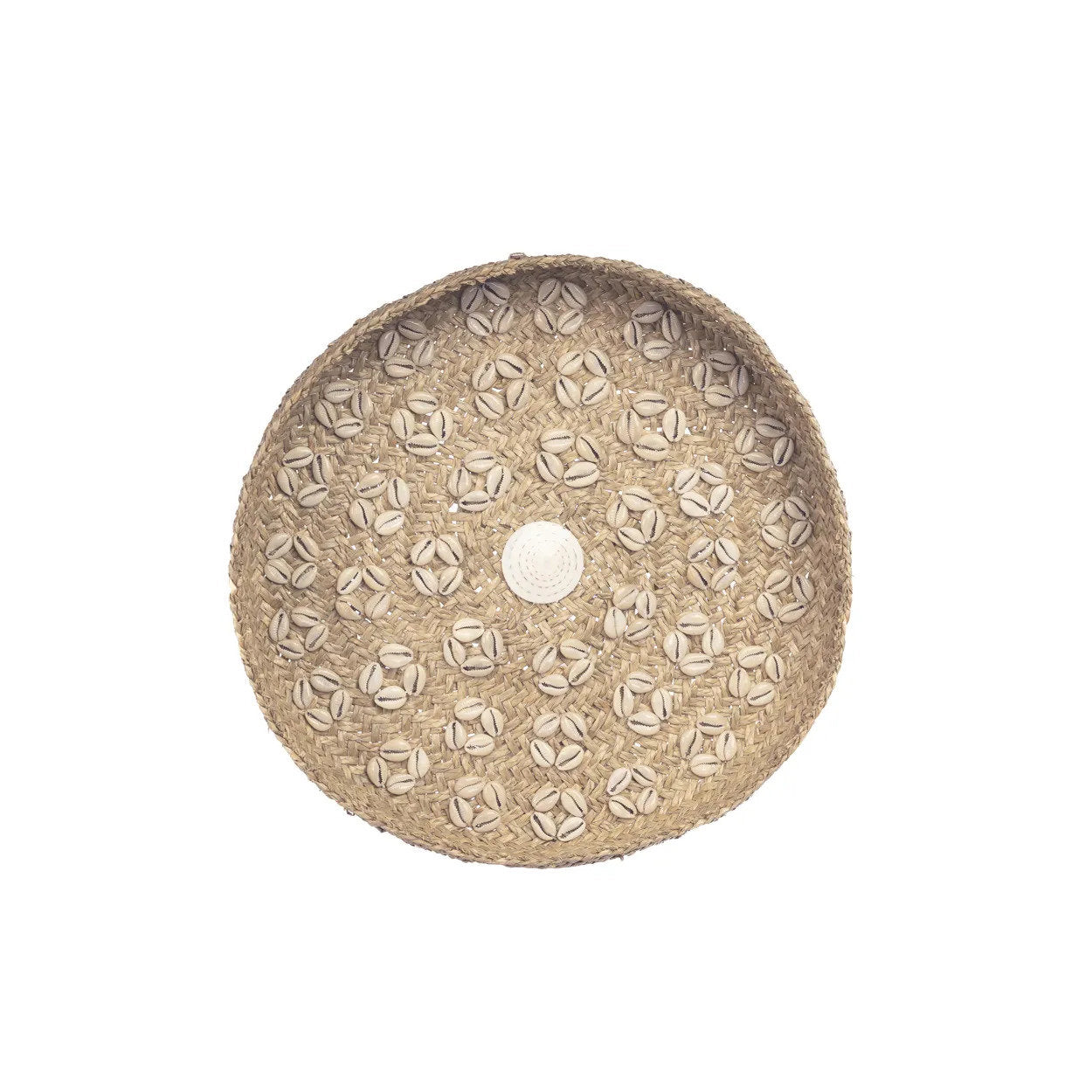 The Caribe Shell Plate - Natural White - M_40