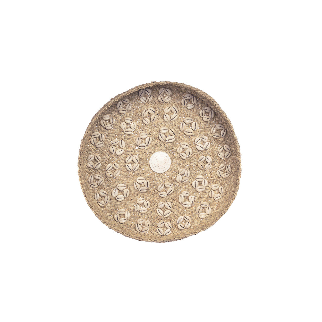 The Caribe Shell Plate - Natural White - M_40