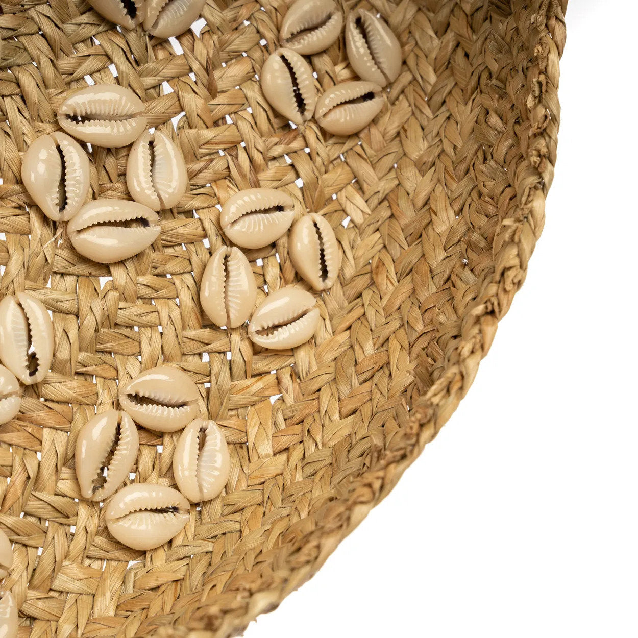 The Caribe Shell Plate - Natural White - M_40