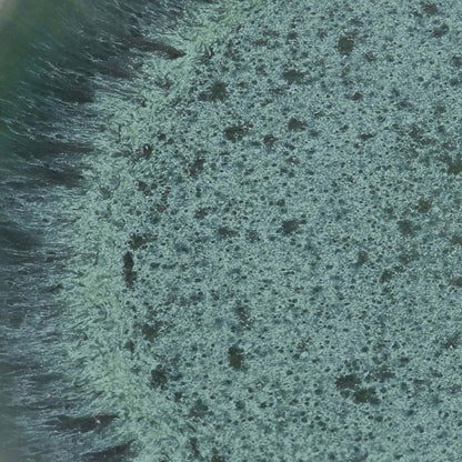 Der Aqua-Speiseteller