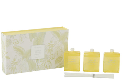 BOX 3 SCENTED OIL CITRUS SENSE YELLOW