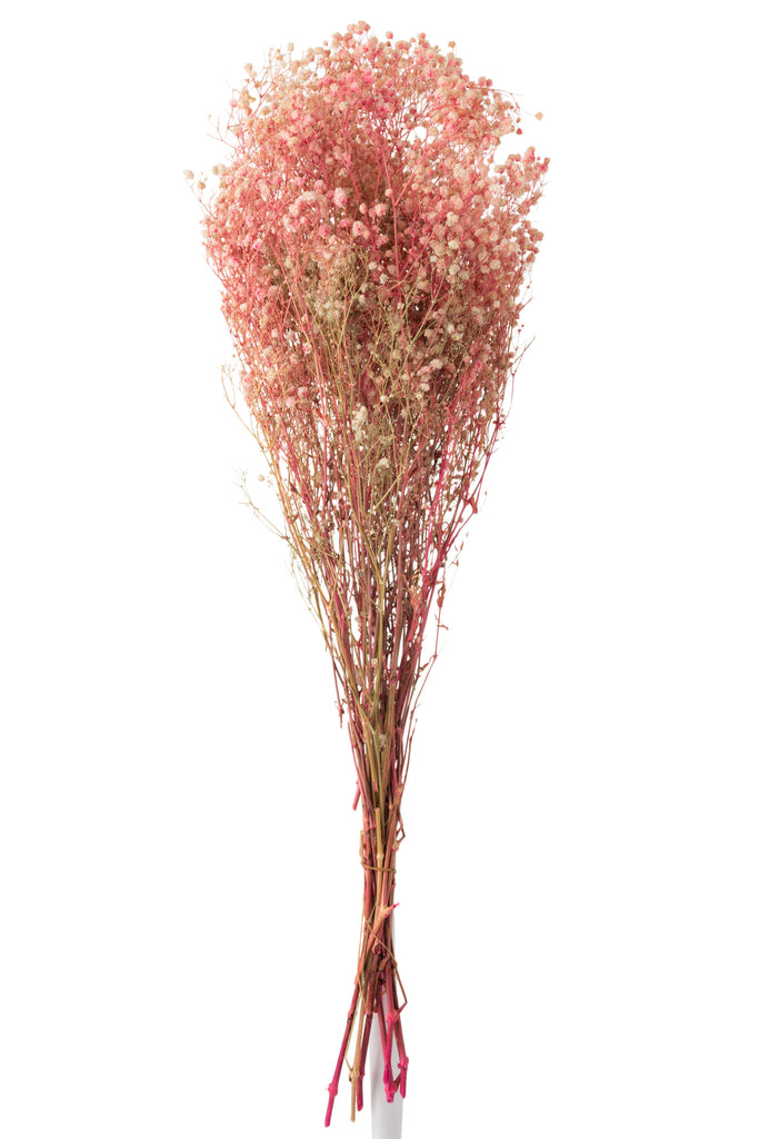 Bundle Gypsophila Dried Pink