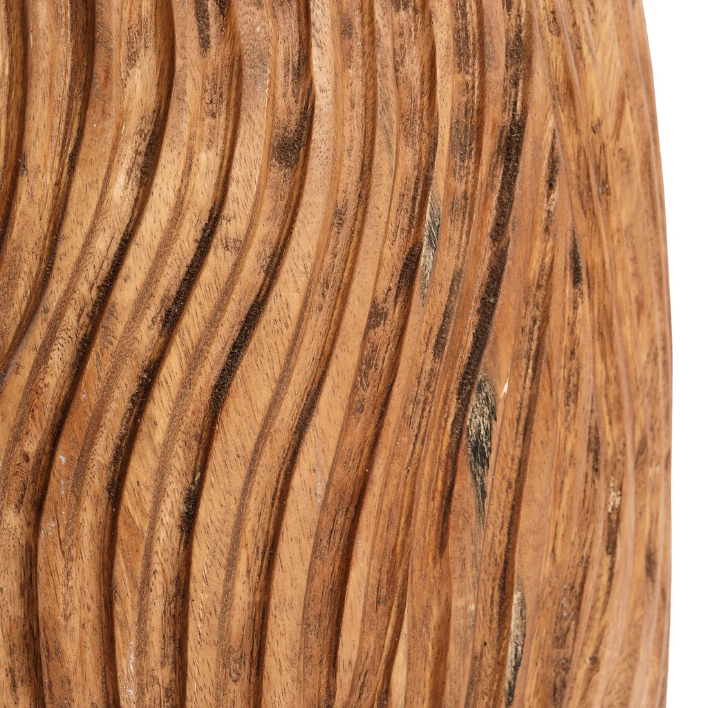 Der Celebes Hocker - Natur