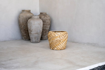 The Chidi Basket