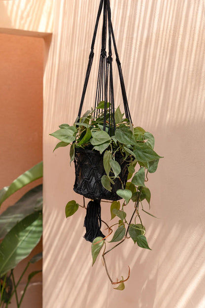 The Macrame Plant Holder - Black - M_40