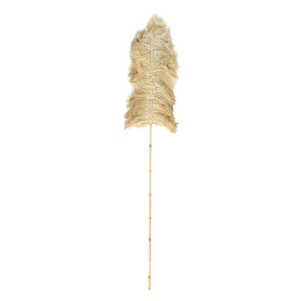 Die Raffia Palmeira - Natur