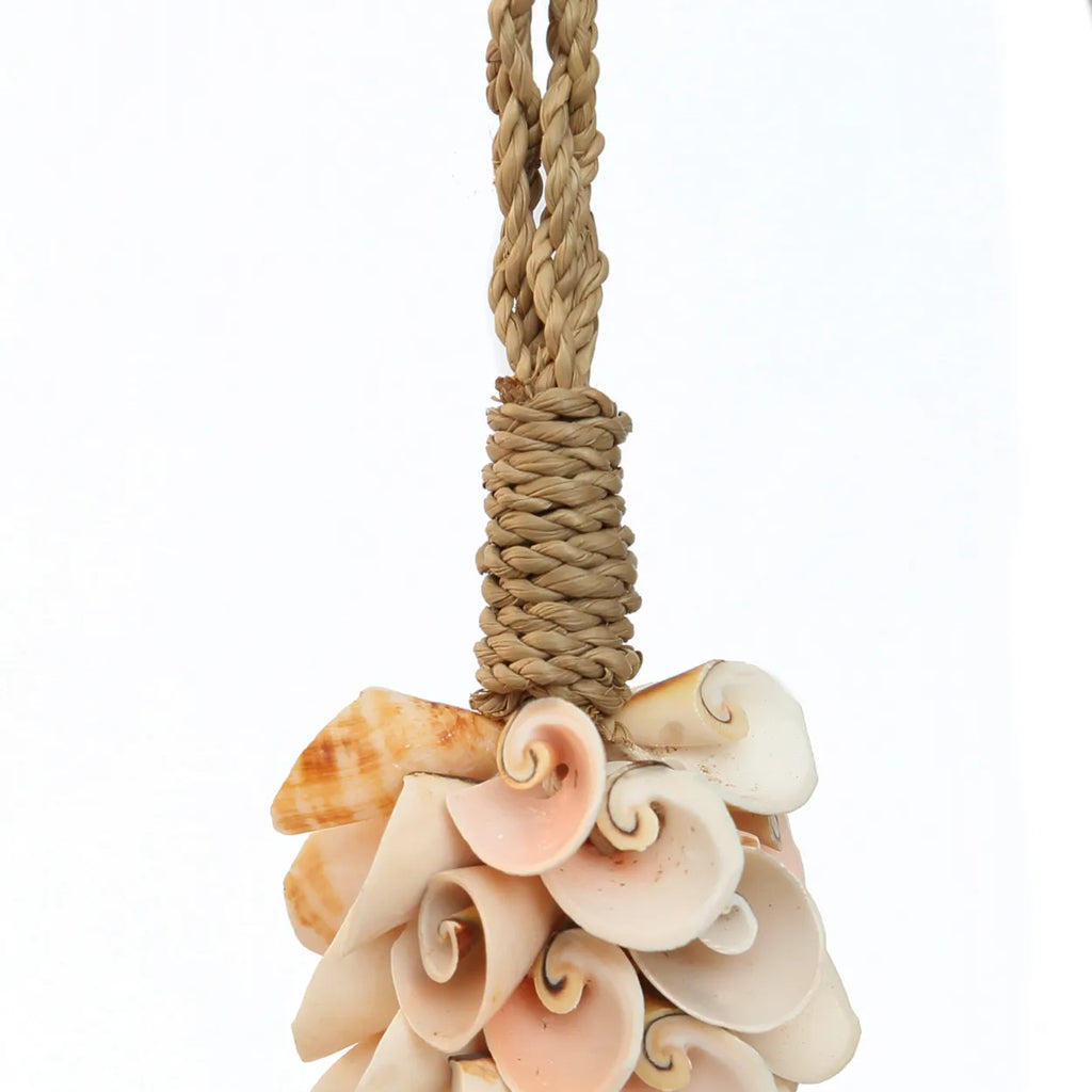 Die Muschel- und Baumwollquaste - Rosa