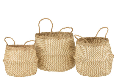 Set 3 Baskets Retractable Seagrass White